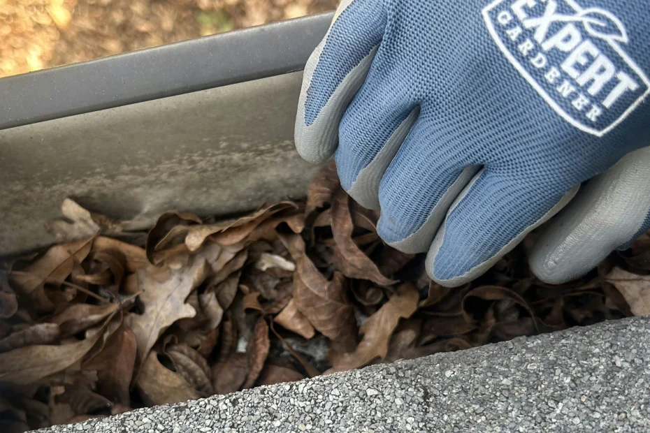 Gutter Cleaning Southside Place