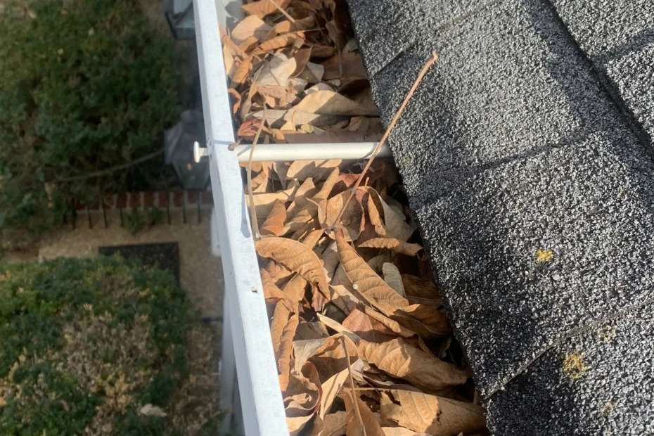 Gutter Cleaning Southside Place