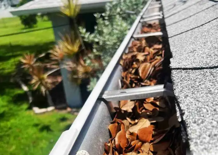 Gutter Cleaning Southside Place home page